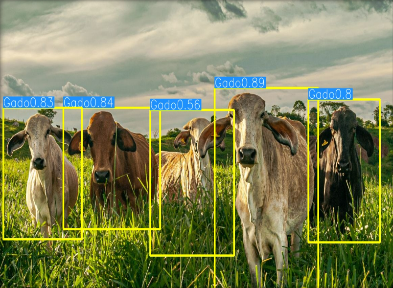 Tecnologia PecusAi em Ação